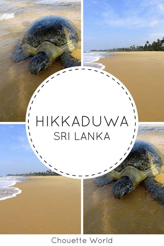 Visiter Hikkaduwa, Sri Lanka