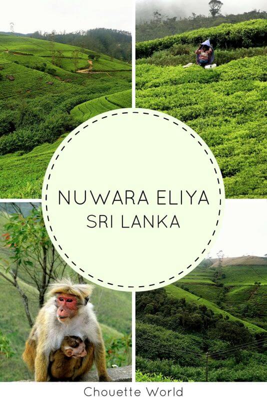 Visiter Nuwara Eliya, Sri Lanka