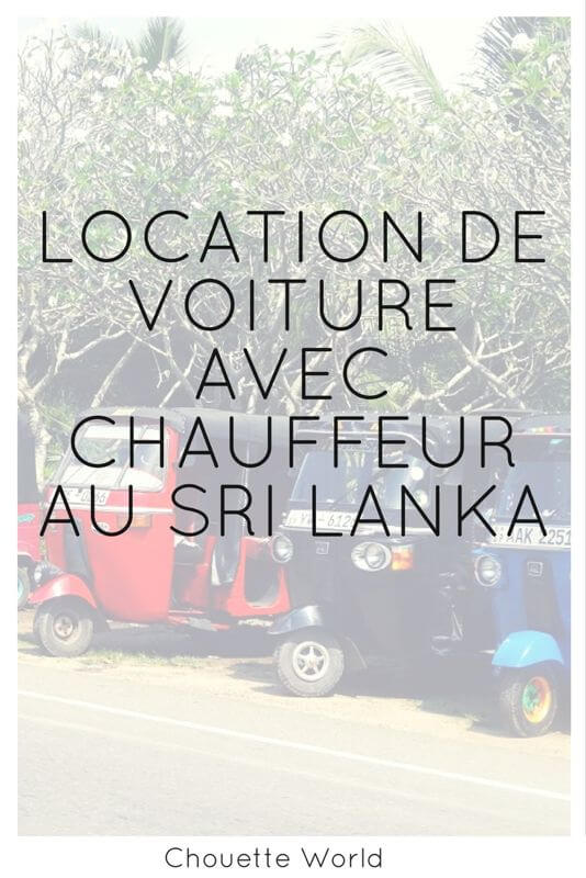 Location de voiture avec chauffeur au Sri Lanka : retour d'expérience et conseils