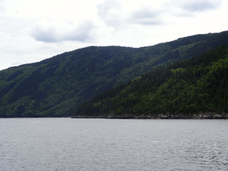 VISITER LE FJORD DU SAGUENAY CROISIERE, RANDONNEE ET KAYAK Chouette
