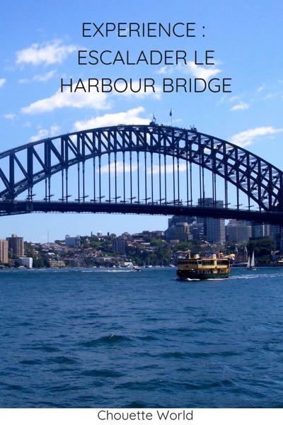 Harbour bridge climb