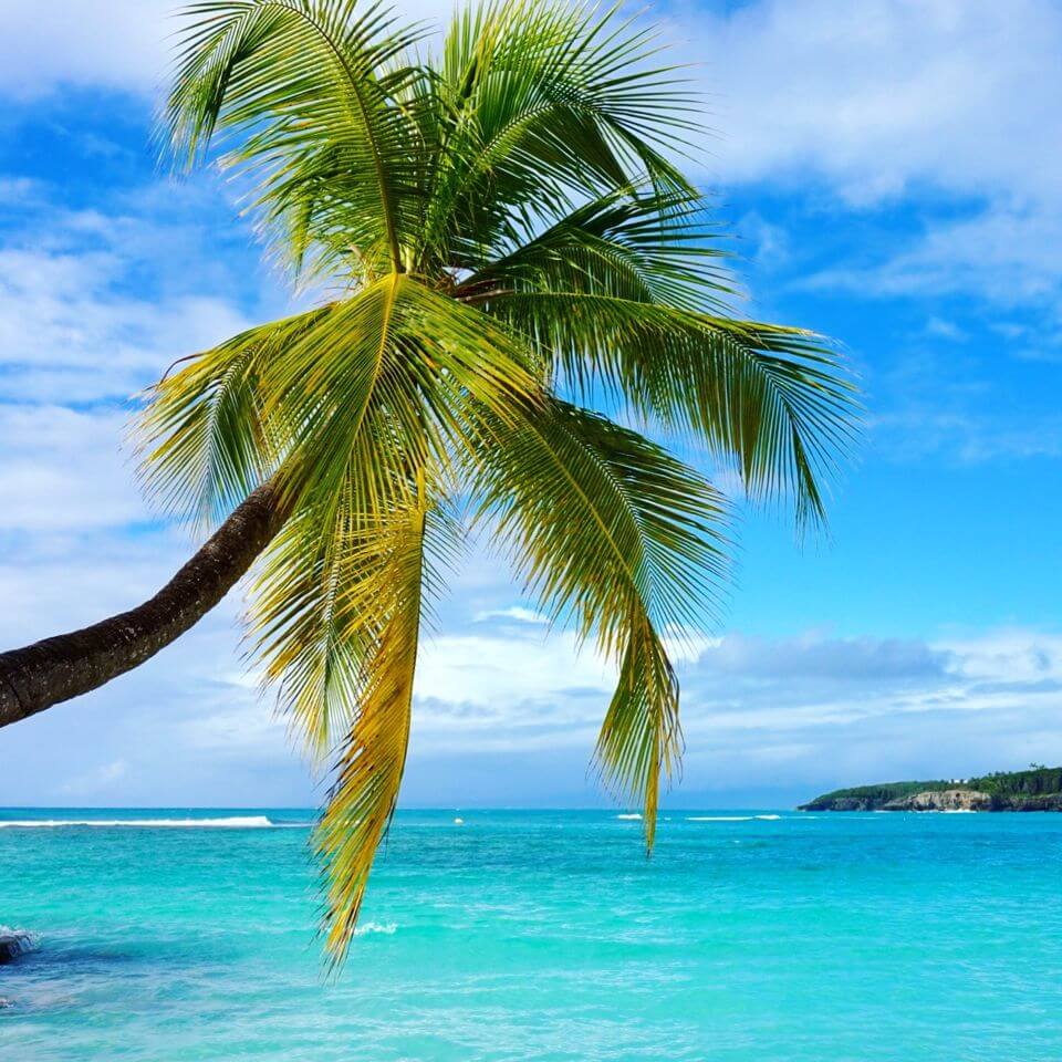 plus belles plages de guadeloupe