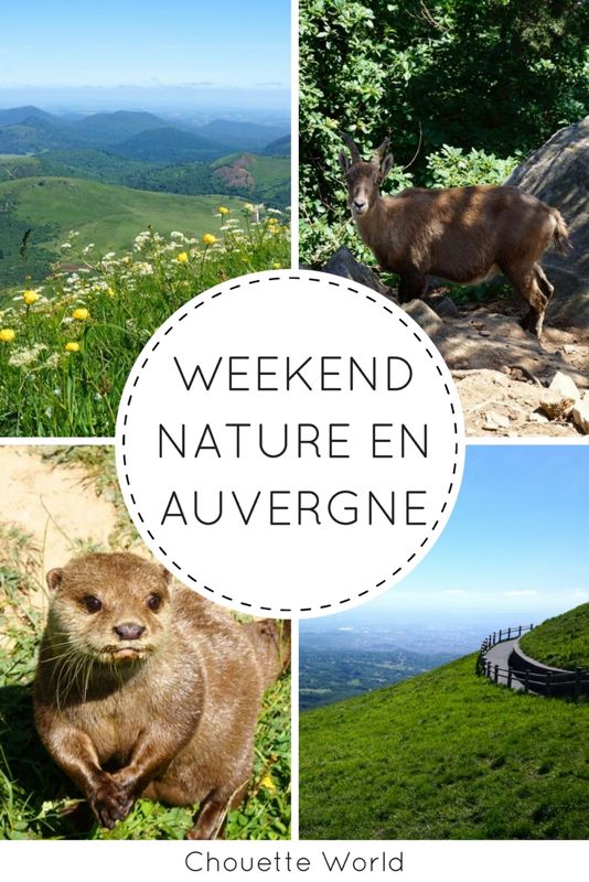  Weekend en Auvergne : puy de dome et parc animalier d'Auvergne
