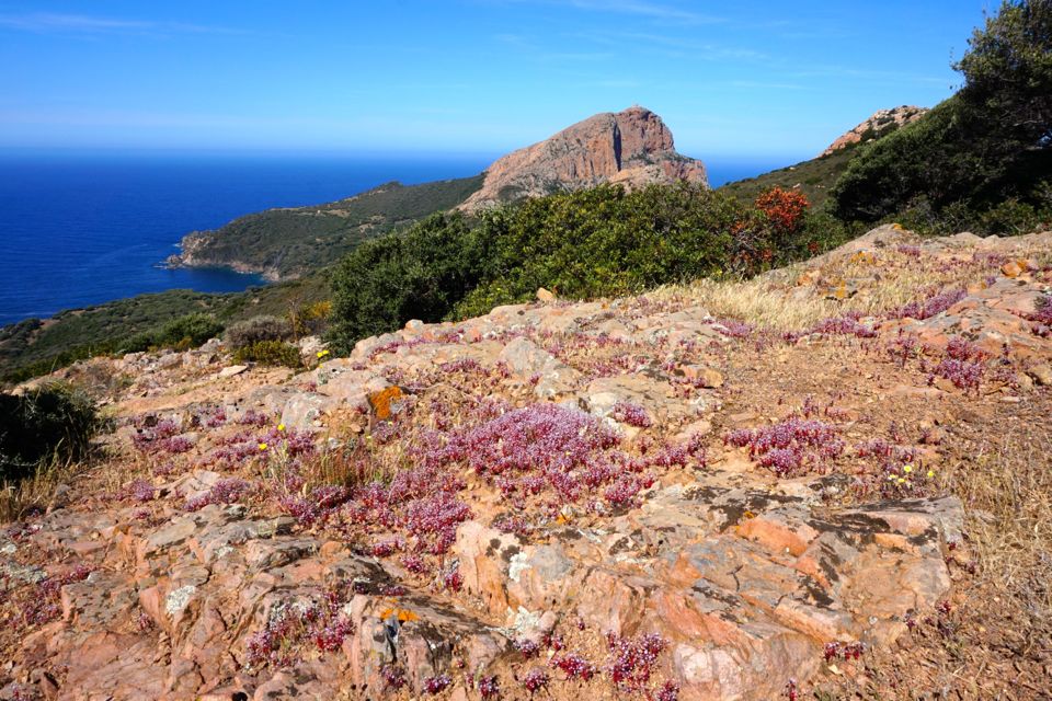 Randonnée du Capo Rosso - Corse