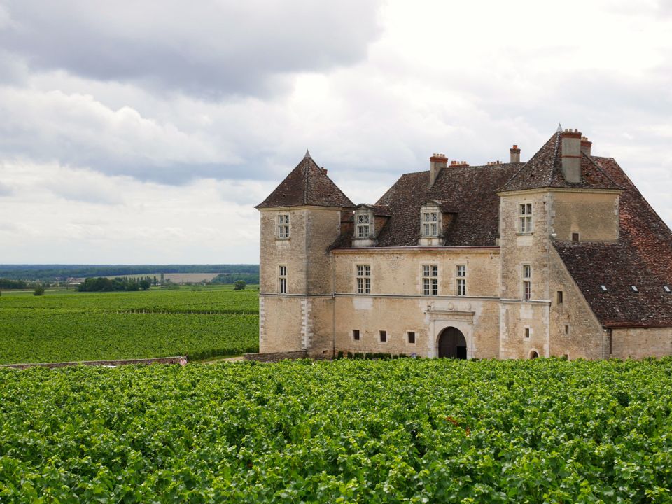 Visiter la Côte de Nuits : Château du Clos Vougeot