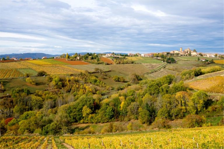 Que Faire Dans Le Beaujolais Quand Il Pleut