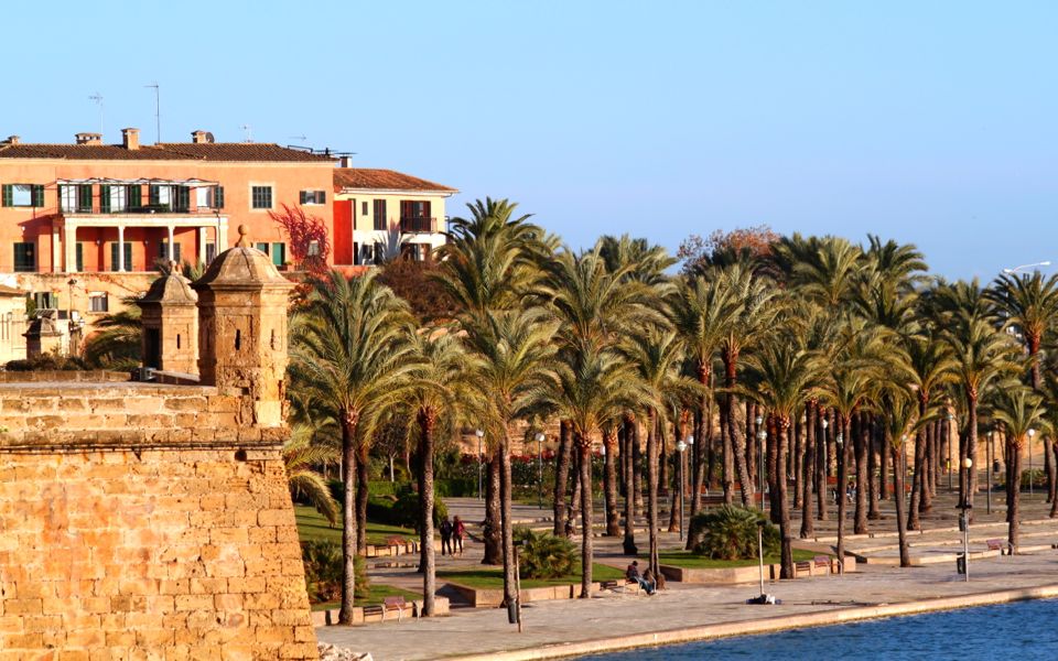 Visiter Palma en 1 journée