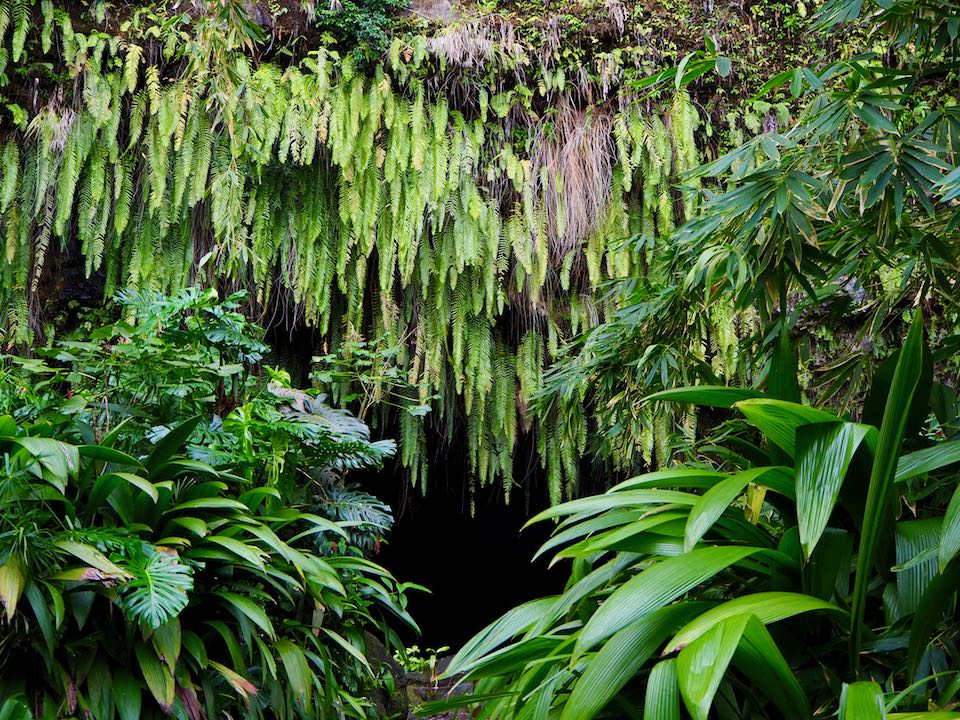 Visiter Tahiti : grotte
