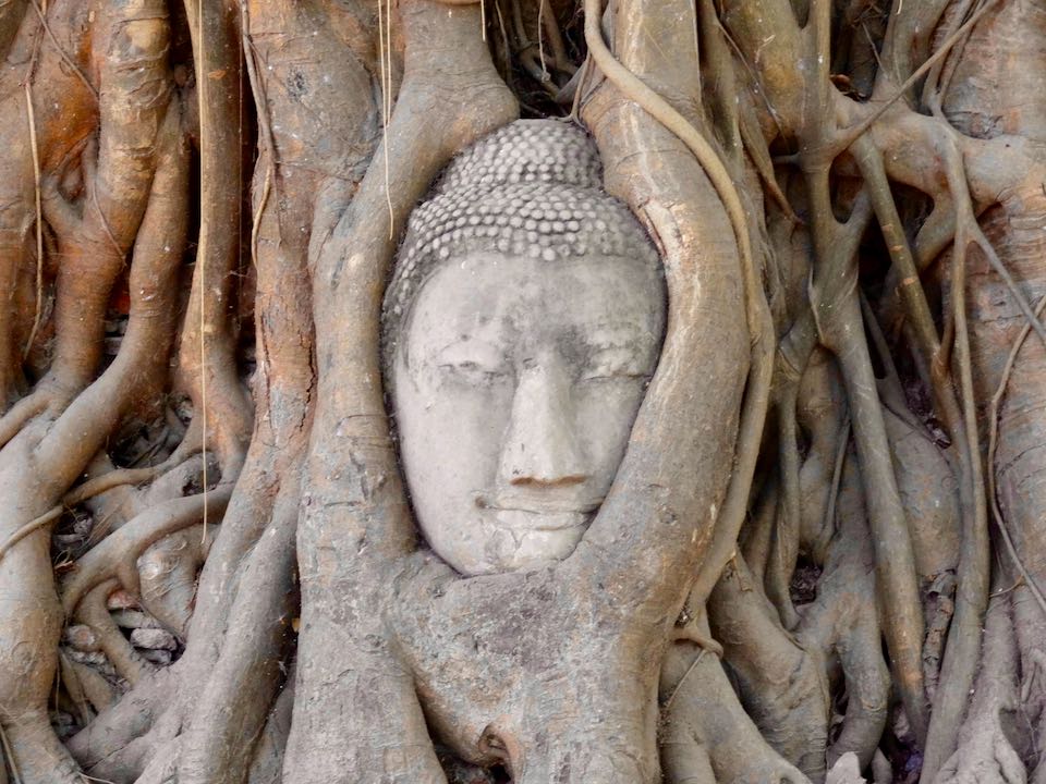 visiter la thailande : ayutthaya