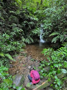que faire a monteverde costa rica