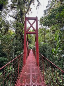 foret de nuages monteverde