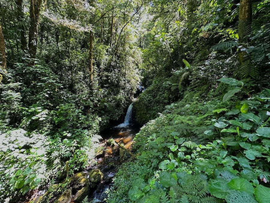 visiter monteverde costa rica