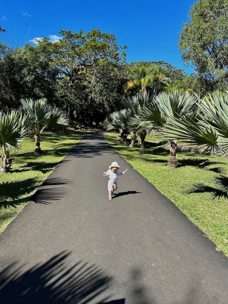que faire à l'ile maurice en famille