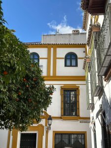 santa cruz seville