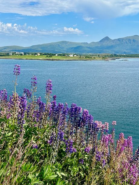 ROAD TRIP LOFOTEN