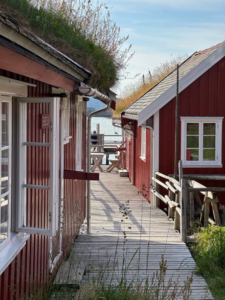 reine rorbuer