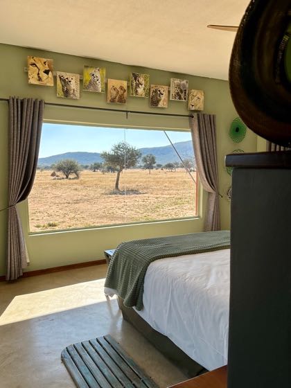 okonjima namibie