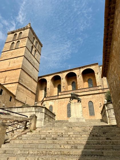 sineu majorque