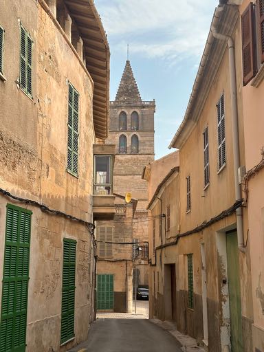 sineu majorque