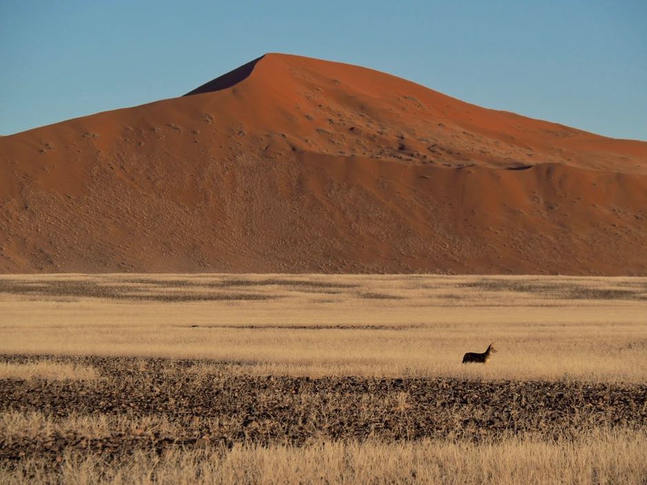 road trip namibie