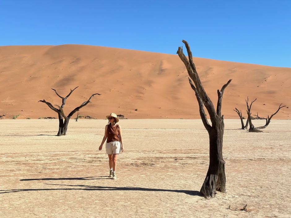 dead vlei road trip
