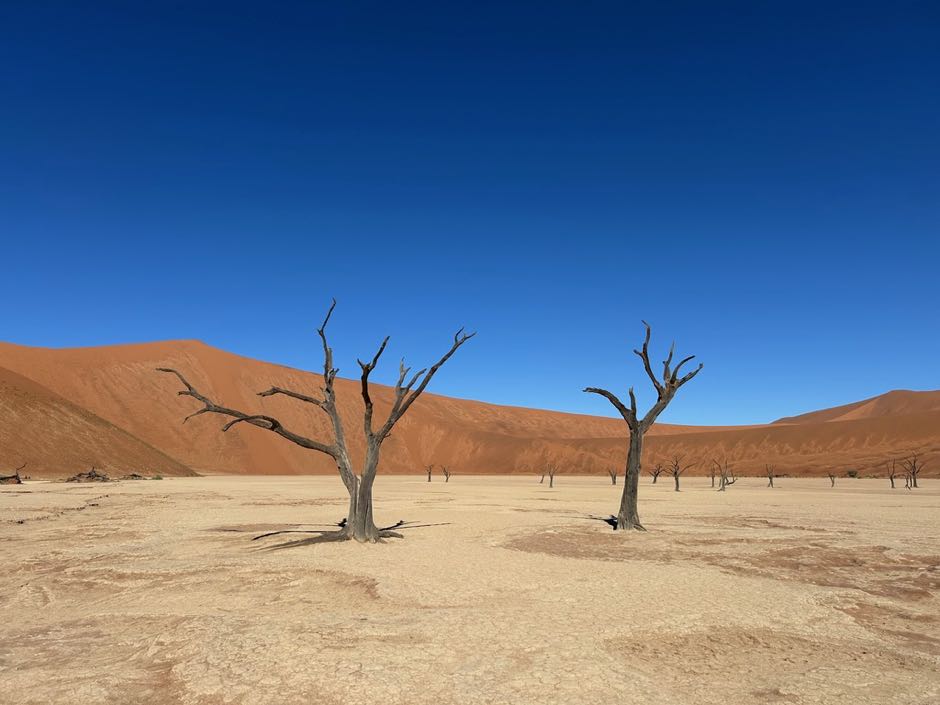 préparer son voyage en namibie