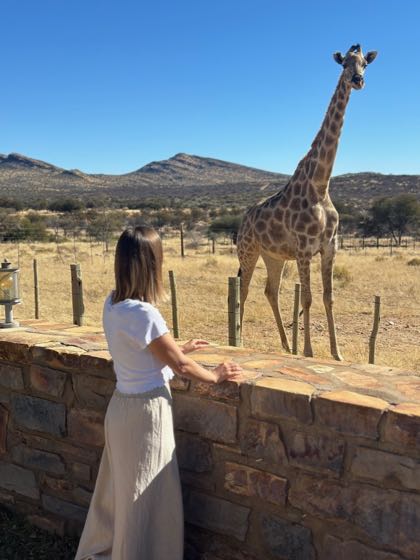 hotel girafe namibie
