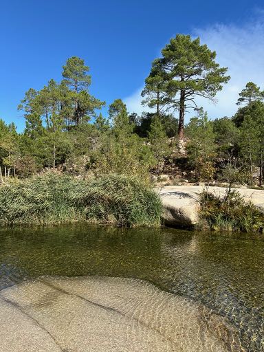 que faire a porto vecchio