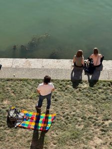 visiter toulouse en 1 jour