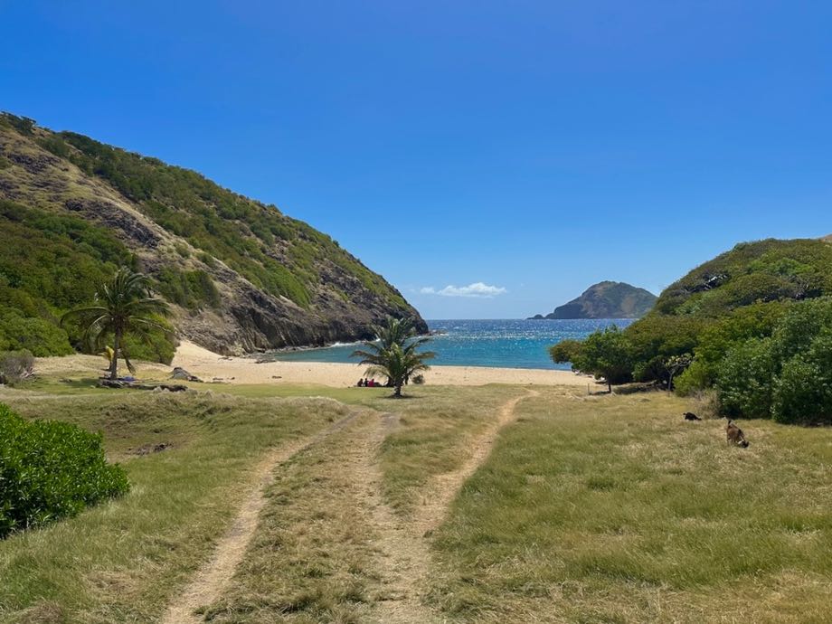les saintes guadeloupe