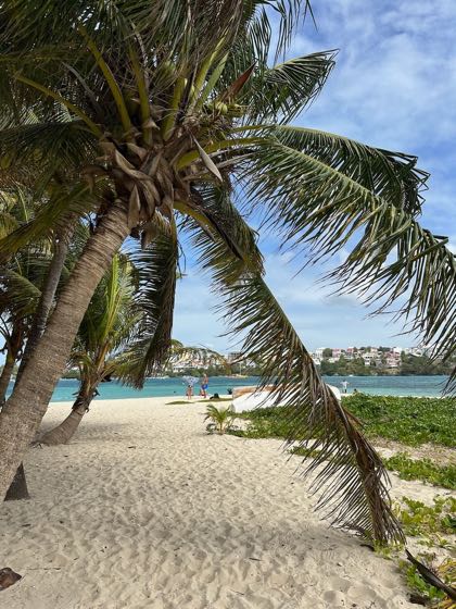 activité guadeloupe en famille