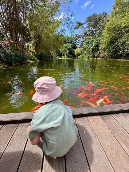 activité guadeloupe en famille