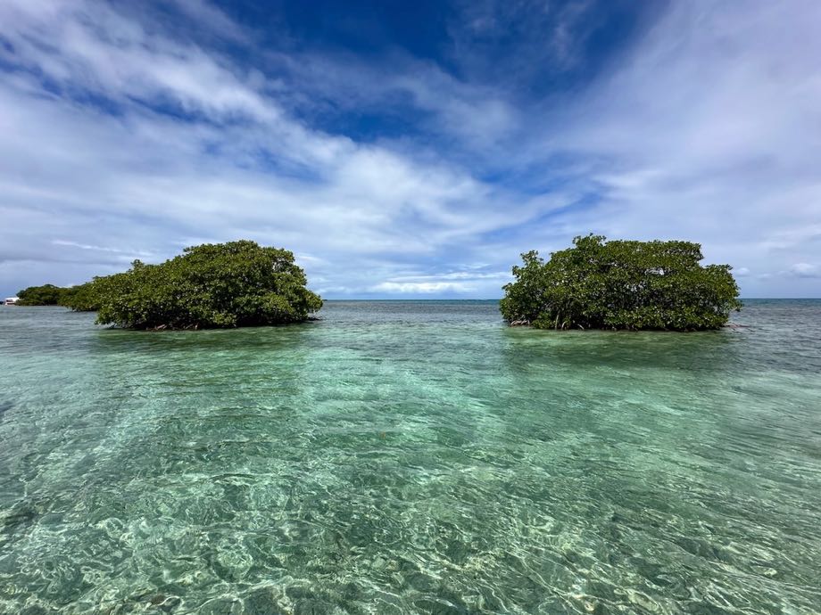 activité guadeloupe avec des enfants