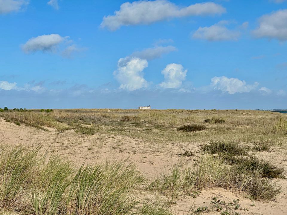 que faire ile oleron