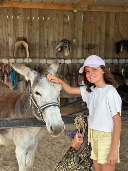 que faire sur l'ile d'oleron