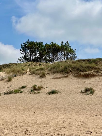 plage des saumonards ile oleron