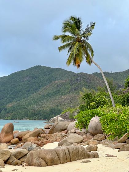 15 jours aux seychelles
