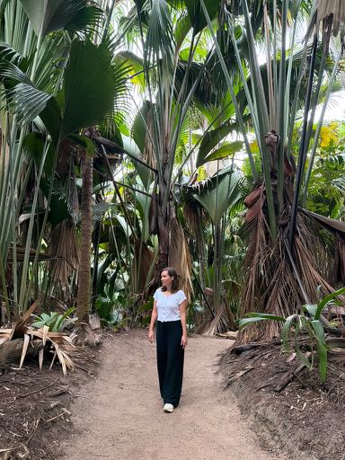 15 jours aux seychelles