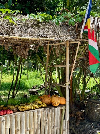 que faire à praslin