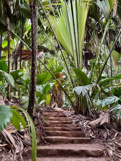 vallée de mai praslin