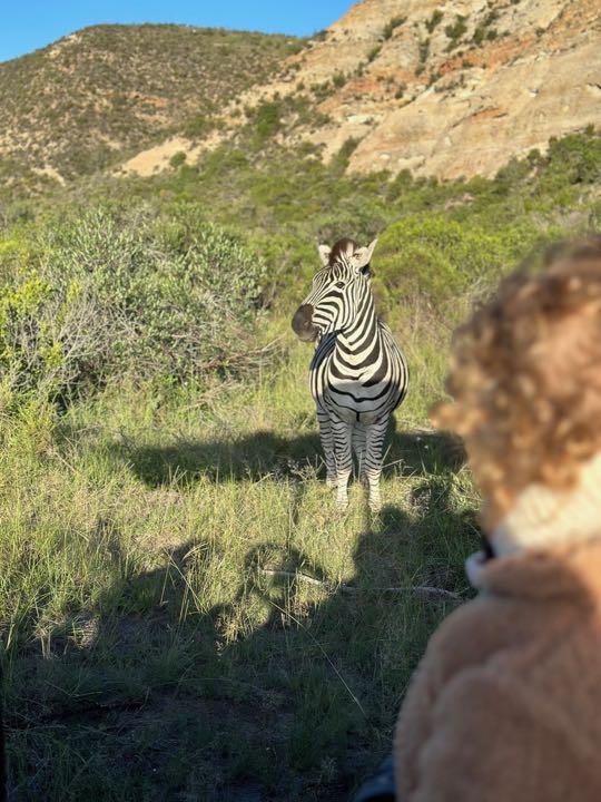safari en famille afrique du sud