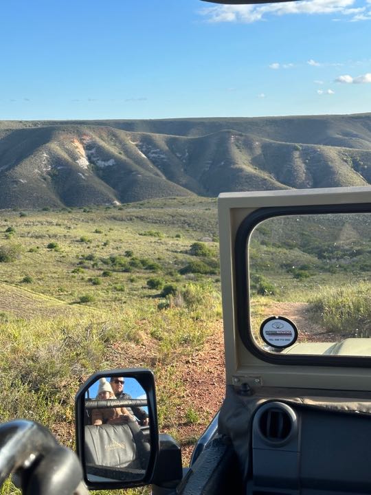 safari en famille afrique du sud
