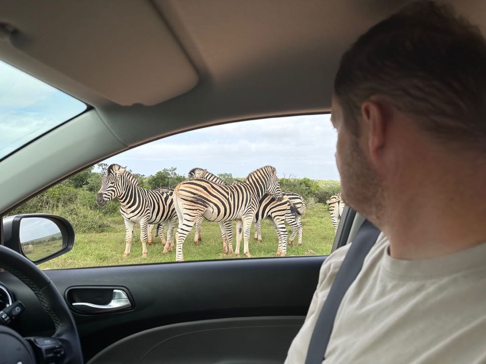 conduire en afrique du sud