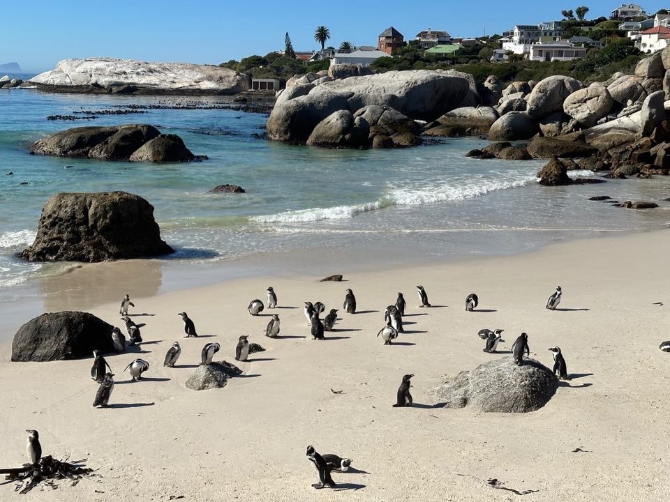 Boulders Beach